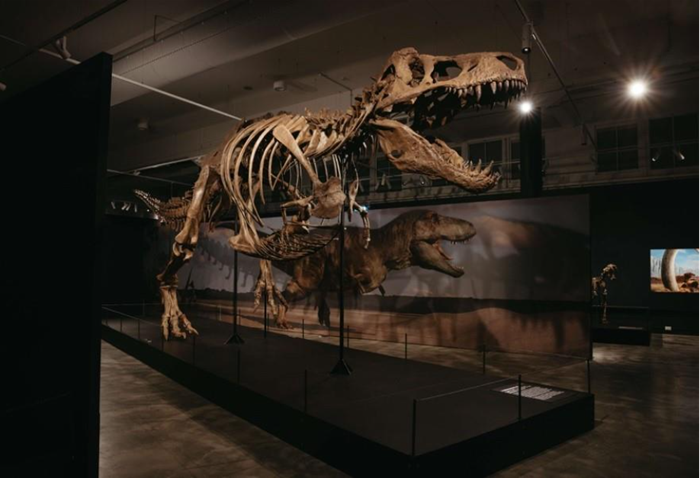 deu-image-1-optimise