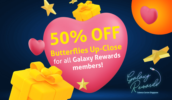 Valentine’s day promo W600-x-H348 Valentine’s day promo W600-x-H348