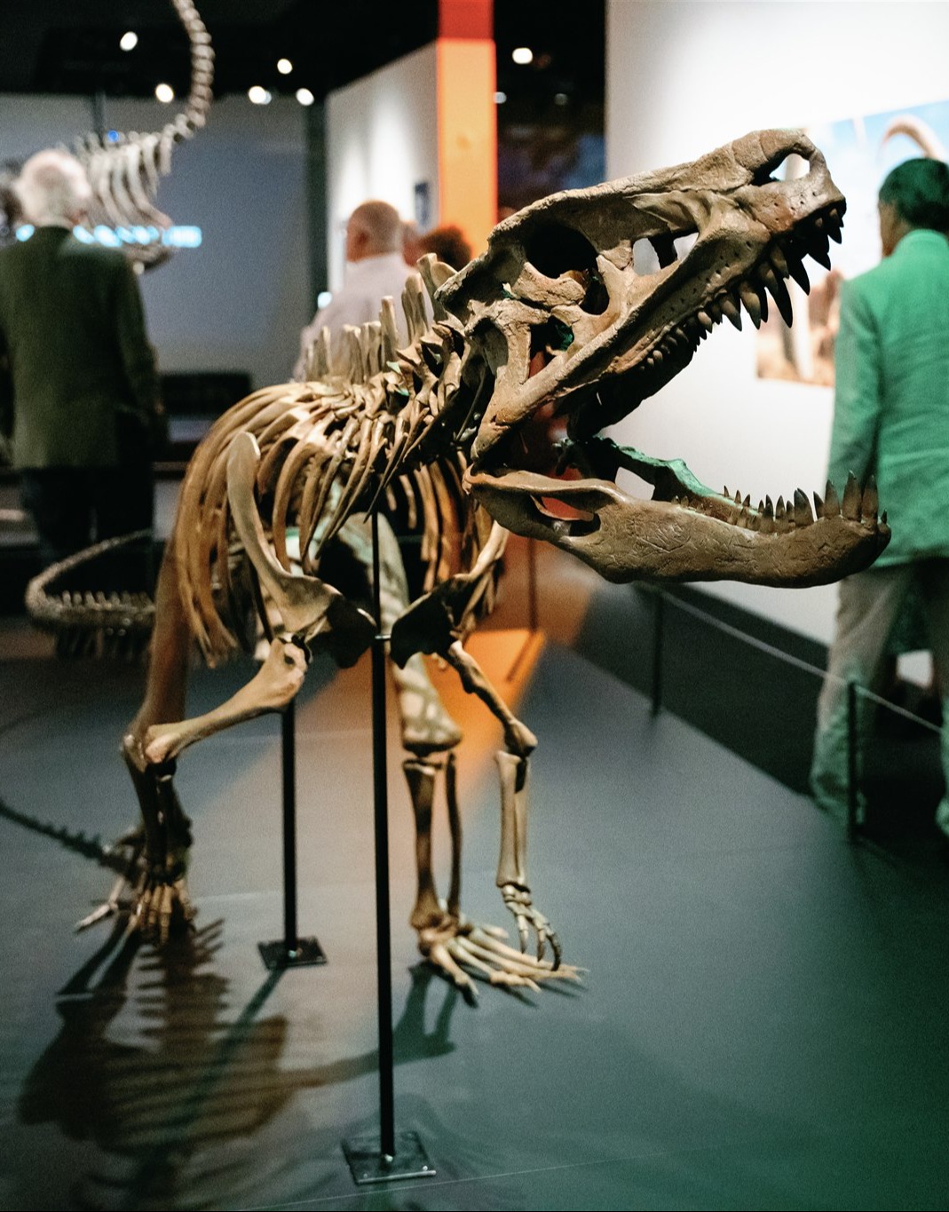 Copy of resources_6_extinctions_Exhibition_24_November_2022_A7401057