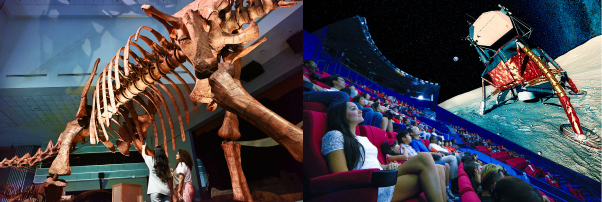 Dino Explorer Pass - DEU