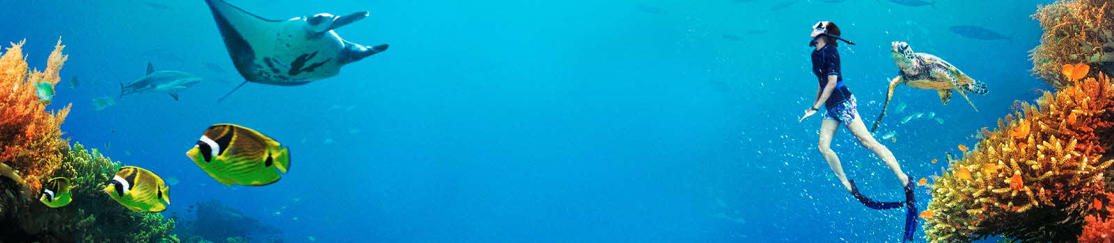 ocean_paradise- Omni-theatre web banner