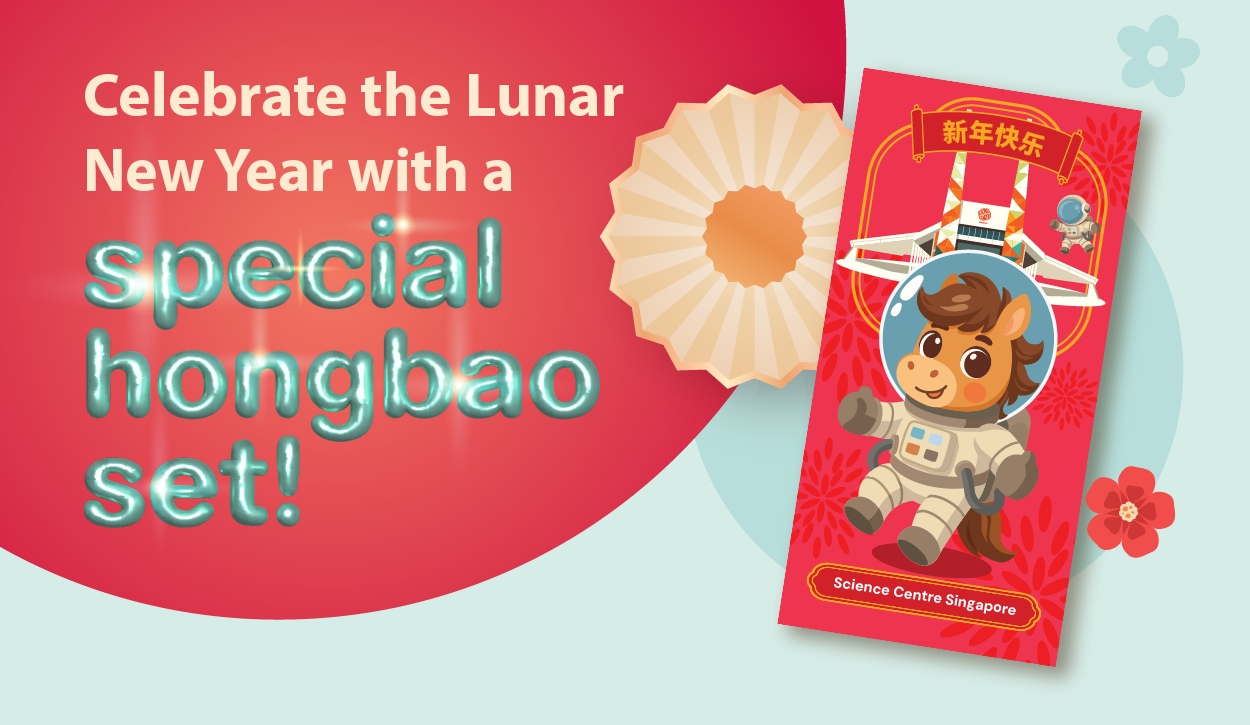 MR Hongbao_MR Hongbao_Website Image_600x348