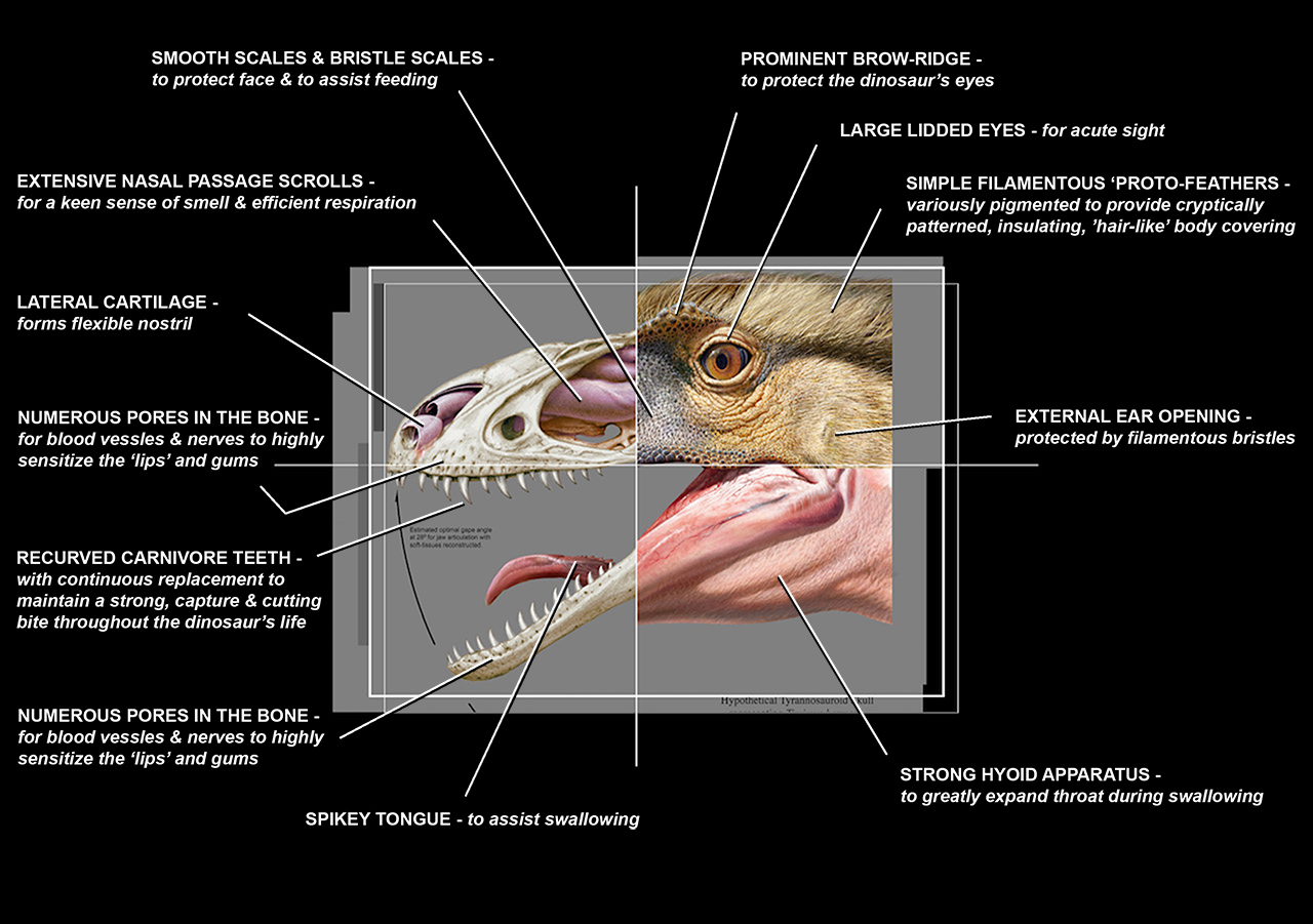 image1 ANNOTATED