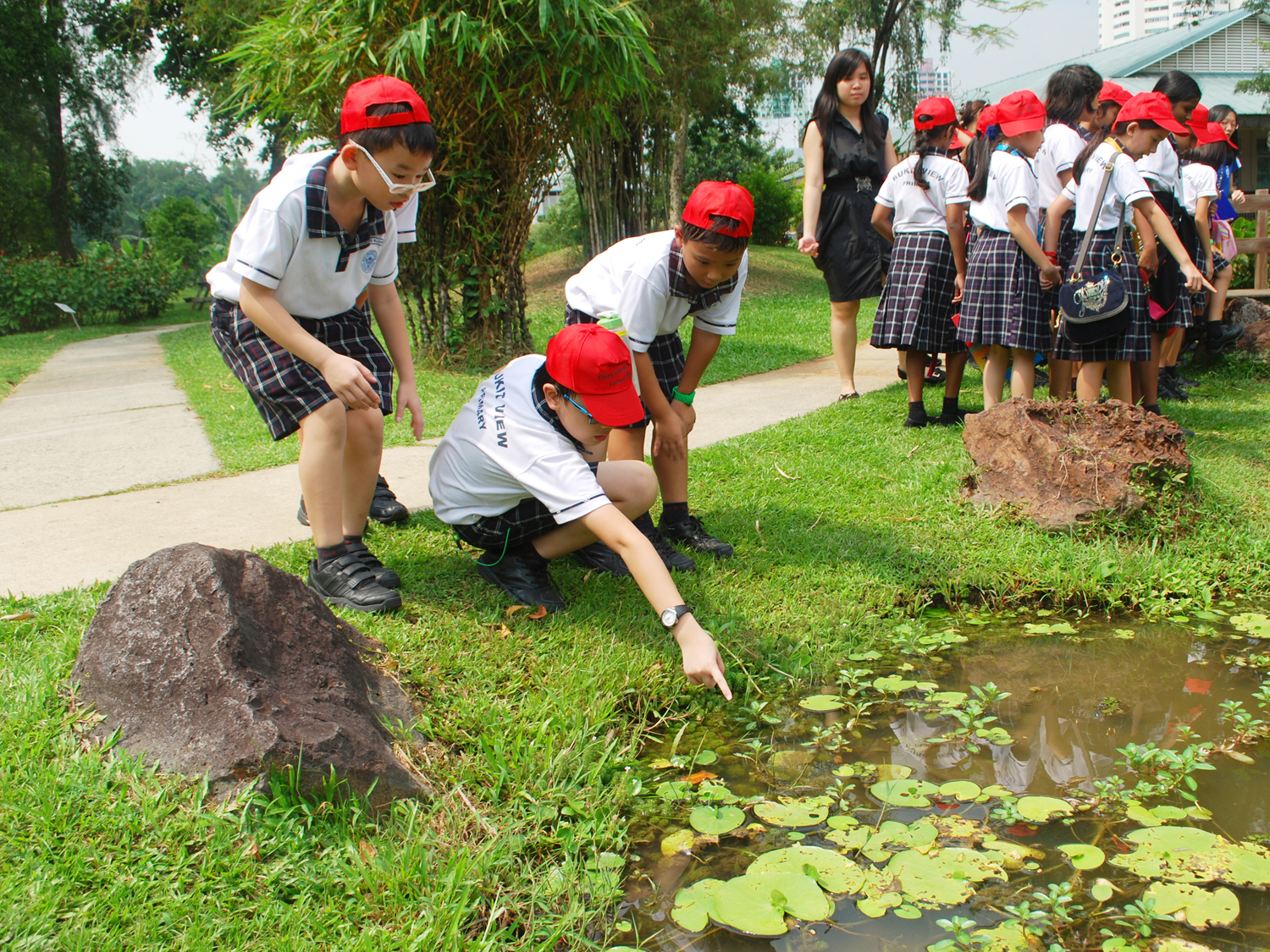 Eco Garden - pond & kids