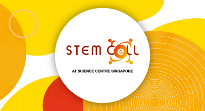 STEM-CeLL-Teaser_R1