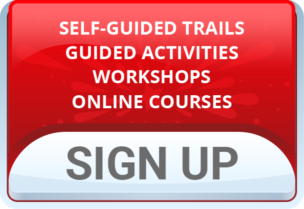 Sign up for Young Scientist Badge