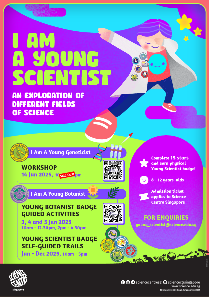 Young Scientist Badge June 2025 Activities