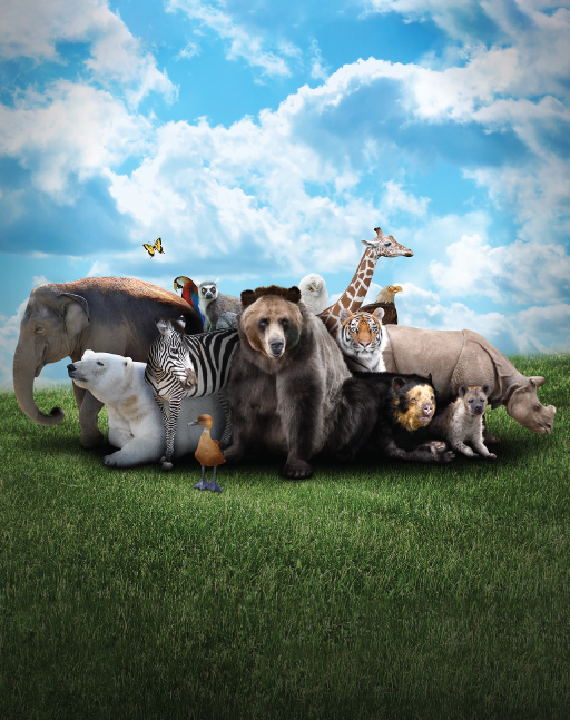 Science centre Omni-Theatre Animal-Kingdom-Carousel-banner)