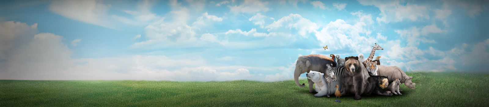 Science Centre Omni-Theatre movie Animal Kingdom-Web banner (1600 x 350px)