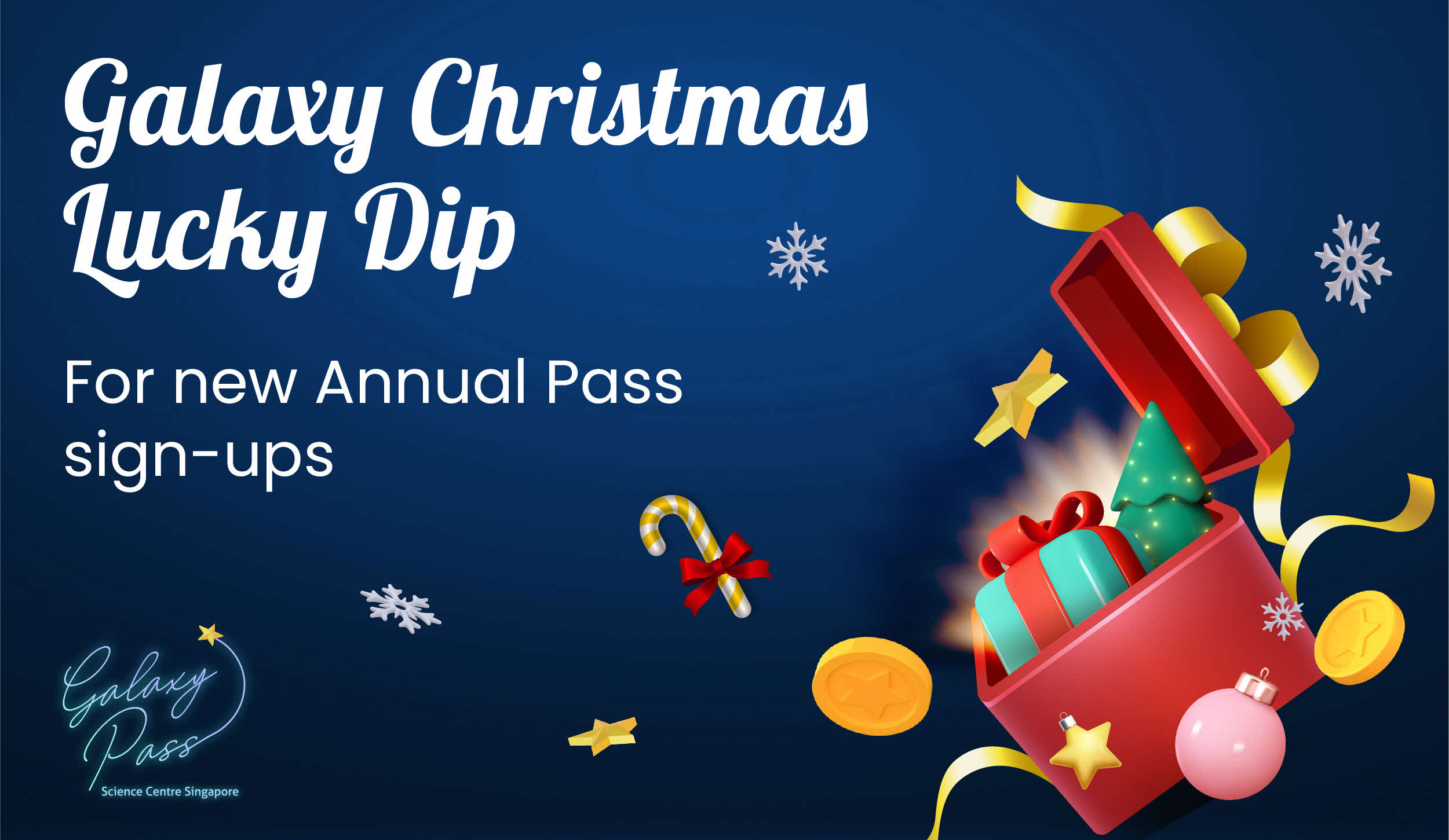AP Christmas Promotion (Web Banners)-02