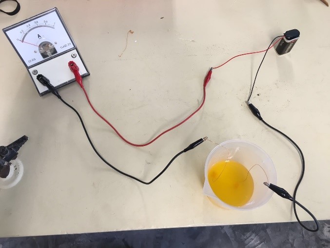 STEM Inc Food Science ALP 