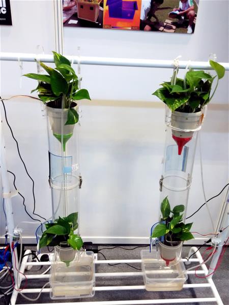 Vertical-farm Vertical-farm