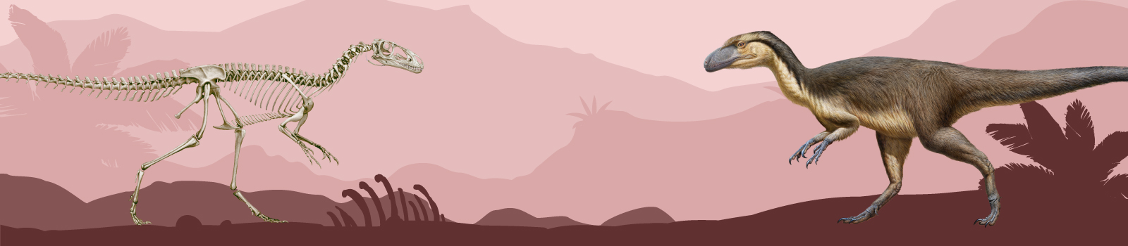 Decoding-the-Life-of-Paleantologist-Public-Talk-Web-Banner