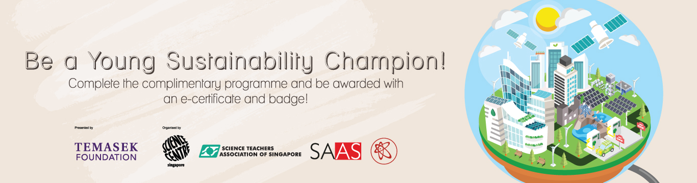 I Am A Young Sustainability Champion banner I Am A Young Sustainability Champion banner