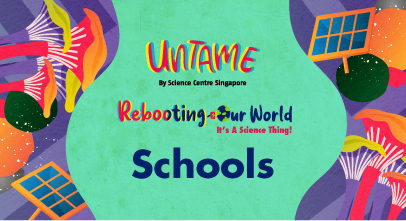 UNTAME 2021 - Rebooting Our World_Schools