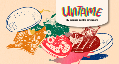 UNTAME 2023 (Web Teasers) - Main