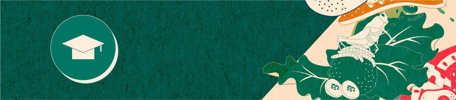UNTAME 2023 (Web Banners) - Schools