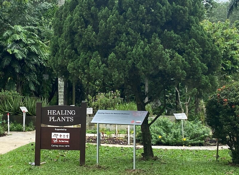 Healing Plants Area
