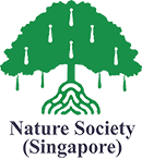 nss_logo_web nss_logo_web