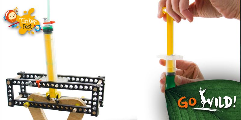 Tinker Fest 2019 - Go Wild! Save the sea life Tinker Fest 2019 - Go Wild! Save the sea life